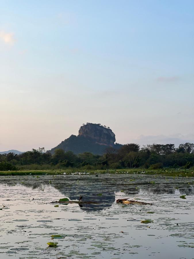 Gold Crown Residence Dambulla Luaran gambar